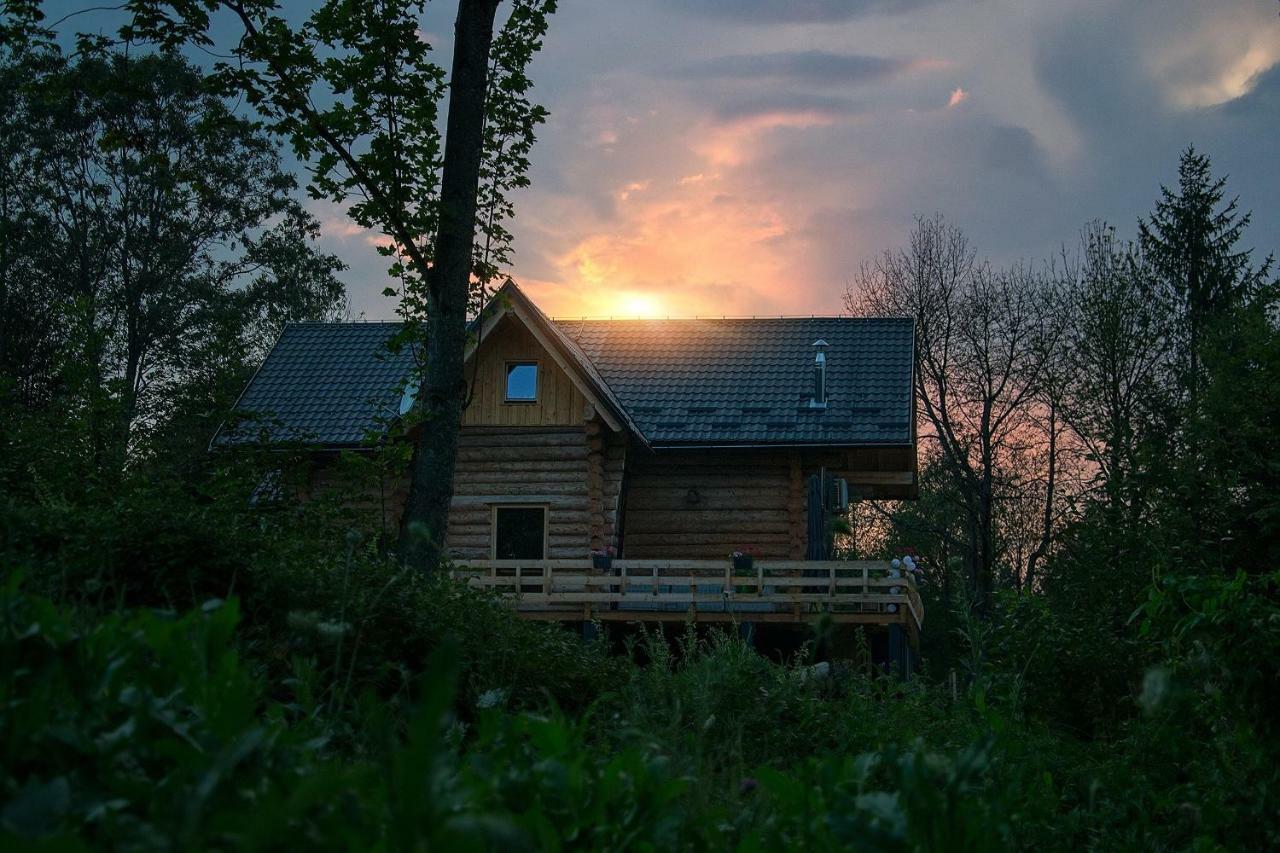 Woods Lodge Plitvice Lakes 德雷兹尼克格雷德 外观 照片
