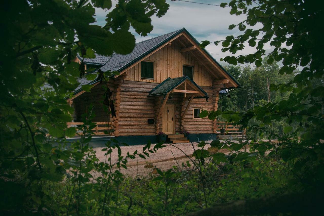 Woods Lodge Plitvice Lakes 德雷兹尼克格雷德 外观 照片